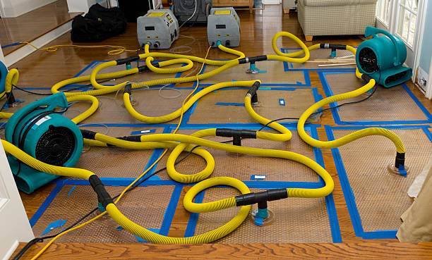Professional Flood Damage Restoration technician working in Loudonville, NY